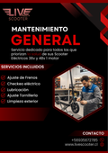 Mantenimiento General 36v y 48v 1 motor