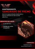 Sangrado de freno hidráulico