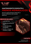 Mantenimiento Completo Freno Hidráulico